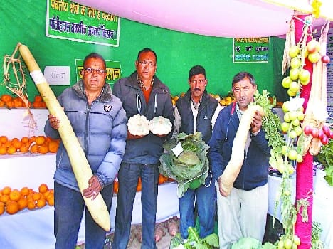 Bageshwar Progressive Farmer